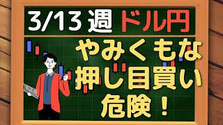 【FX】ドル円、やみくもに買いは危険！134円割れの可能性も！~ 3/13 以降の環境認識・戦略 ~