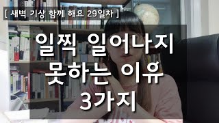 일찍 일어나지 못하는 이유 3가지 (1)- (새벽기상 함께 해요 29일차)