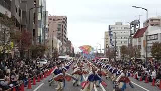 【4K】なるたか｜UTOPIA（町田夢舞生ッスイ祭2023/浄運寺会場）