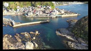 千葉県 鴨川市「仁右衛門島」（ドローン）