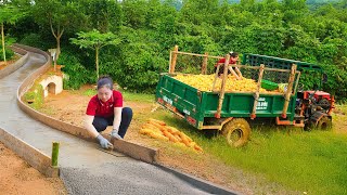 Use Trucks to Transport Corn - Rebuild the Concrete Road from the Gate to the Stone House - New Life