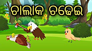 Chalak Chadhei || Odia Stories || Odia Bird Story || Odia Gapa