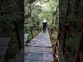 太魯閣國家公園 得卡倫步道 2 hiking adventure 旅行 travel 旅遊