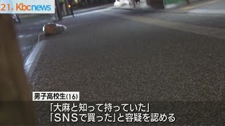 「ＳＮＳで買った」紙巻き大麻所持で男子高校生逮捕