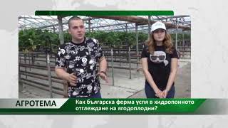 Агротема: Как българска ферма успя в хидропонното отглеждане на ягодоплодни?, автор: Г. Куситасев