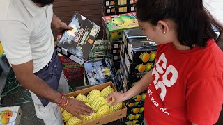 The Best Indian Kesar Mangos in London | Sweeter than Alphonso Mangoes | + How to Cut a Indian Mango