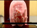 biju s beautiful soap art ഡോപ്പില്‍ തീര്‍ത്ത ശില്‍പങ്ങള്‍