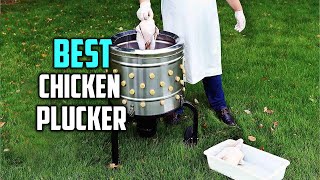 Best Chicken Pluckers in 2023 - Top 6 Chicken Pluckers Review