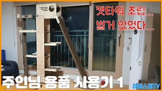 원목 캣타워를 조립해 보았다. 주인님들은 만족하실까?? (주인님 용품 사용기, 첫번째 이야기, 그린웨일 원목 캣타워 B3 F세트)