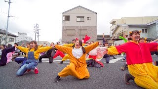 [4K]めいとりあん　バサカニ2017 公園線南会場