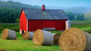 Here's why barns are painted red