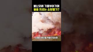 소방헬기가 불난곳에 불을 더 지르는이유?