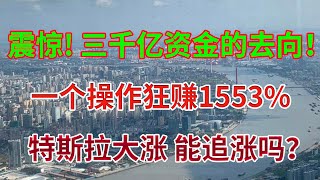 震惊！全明白了！三千亿资金支哪里了！一个操作狂赚1553%！特斯拉大涨 能追涨吗？美股分析 STOCK TSLA FUTU AMZN META 期权操作