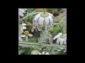 nthng - Sunshine In My Eyes [TAR010]