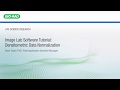 Image Lab Software Tutorial: Densitometric Data Normalization