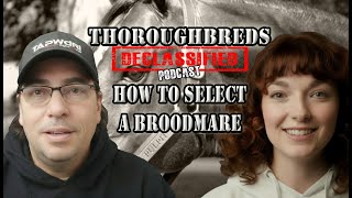 Thoroughbreds Declassified: Unlocking the Secrets of Broodmare Selection