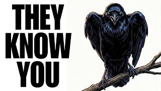 Crows Remember Your Face Forever — And They Talk About You