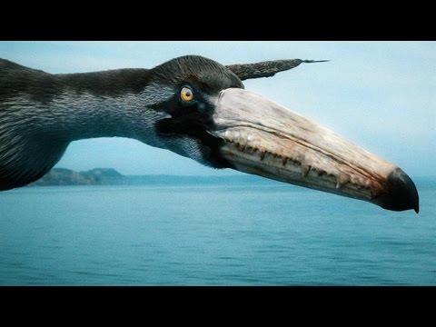 What is the biggest flying bird alive today?
