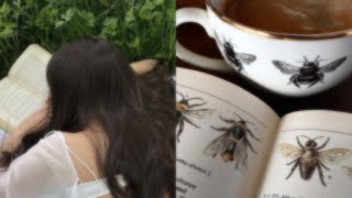 𓄼 𓏲ּ infinite hair growth ⋆ ୨୧ long \u0026 healthy hair + more ! cynth1a (paid)