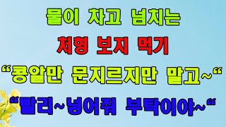 카메라