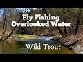 NY State - Fly Fishing Overlooked Small Water for Wild Trout