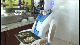 Robot Waiter at Chinese Restaurant Amazes Hungarian Customers