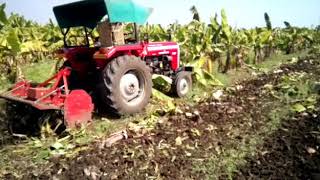 Tafe Agristar Powervator Banana Mulching