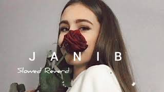 JANIB | slowed Reverb | lofi 🎧 | Song by Arijit Singh
