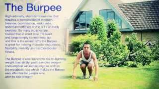 How to do a Burpee: Burn Fat and Hit every Muscle!