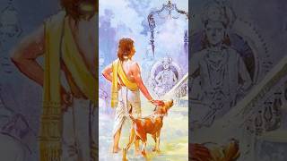 Who was the dog with Yudhishtir? 🦮 #mahabharat #yudhishthir #mahabharata #hindu #dharma