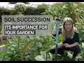 SOIL SUCCESSION and its Importance for Your GARDEN!