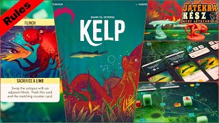 Kelp - Játékbemutató