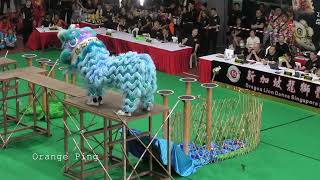 新加坡天仙洞龙狮团  Tian Xian Dong Dragon \u0026 Lion Dance Troupe