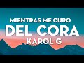 KAROL G - Mientras Me Curo Del Cora (Letra/Lyrics) | Reggaeton Mix Letra