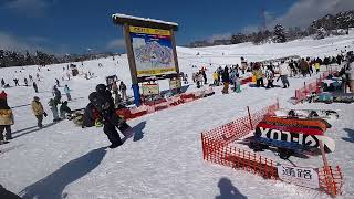 高鷲スノーパーク外国人さんたくさん！1月3日11時頃