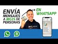 Cómo Enviar Mensajes Masivos con la API WhatsApp FÁCILMENTE!