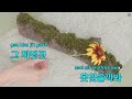 멜로디제거 미워 미워 미워 조용필 ky.375 ky karaoke