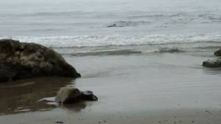 M4V06065.MP4