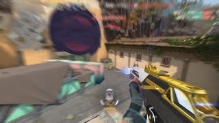 "jett I hope you get banned"