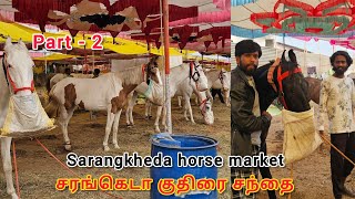 Sarangkheda horse market / குதிரையைப் பற்றி தெரிந்து கொள்ள சரங்கெடா குதிரை சந்தை