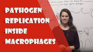 Pathogen Replication inside Macrophages