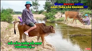 Hôm Nay Đi Chăn Bò - Today Go To Cowherd | Soytiet