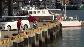 台風通過と共に釣りシーズンの本格的幕開けです！和歌山釣太郎