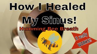 Humming Bee Breath- Bhramari Pranayama Technique simplified. How I Healed My Sinus Allergies.