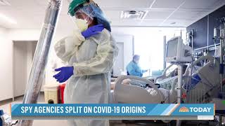 US Intelligence Officials Split On COVID-19 Origins