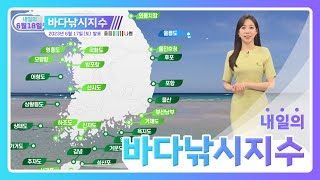 [바다낚시지수] 23년6월18일 대물을 향한 열정! 열정! 열정!/ 해양예보방송