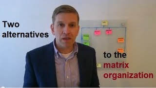 Two alternatives to the matrix organization