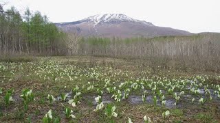 【上越妙高百景】　標高1300ｍに夢世界　笹ヶ峰高原夢見平（新潟県妙高市）