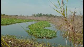 Dara jo សម្រាយសាច់រឿង(កូនអកត្តញ្ញូ)