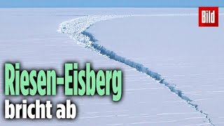 Riesiger Eisberg bricht in der Antarktis ab: Er ist 15-mal so groß wie Paris